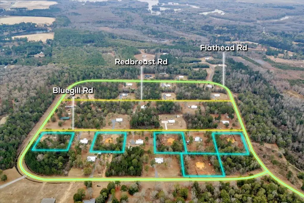 183 Bluegill Rd., Vienna, GA 31092 - #1