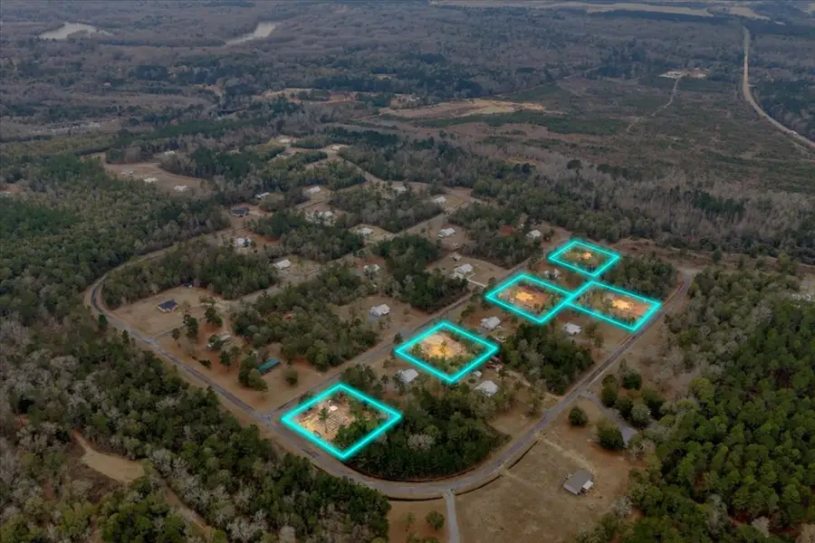 183 Bluegill Rd., Vienna, GA 31092 - #3