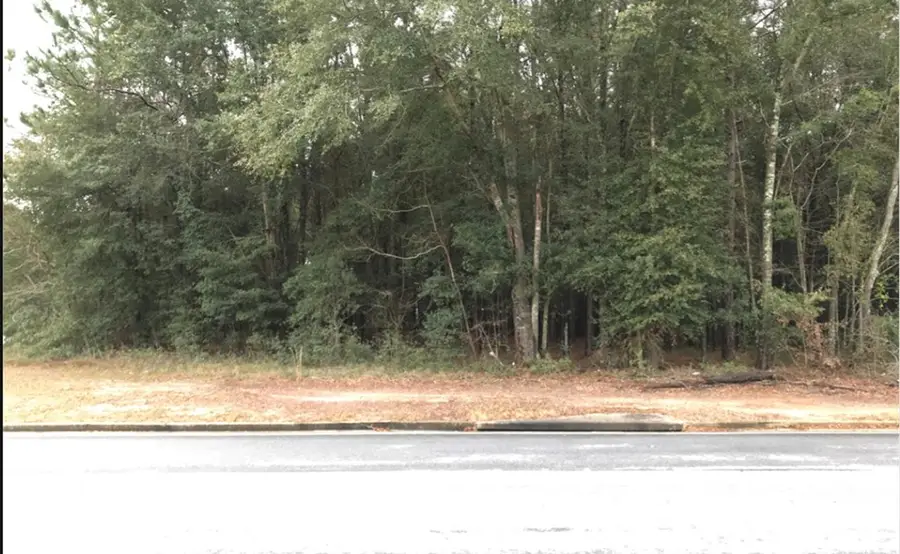 1713 Philema Road, Leesburg, GA 31763 - #2