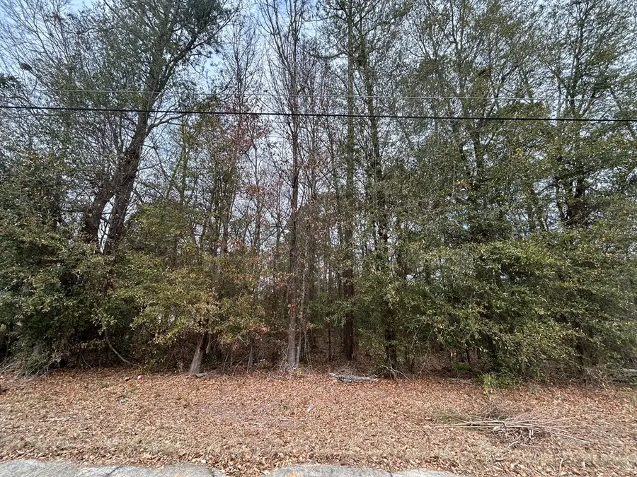 W Williams St, Montezuma, GA 31063 - #2