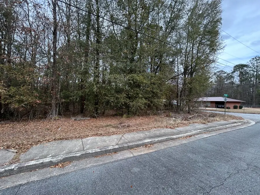 W Williams St, Montezuma, GA 31063 - #3