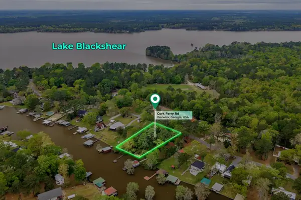 728 Cork Ferry Rd, Cordele, GA 31015