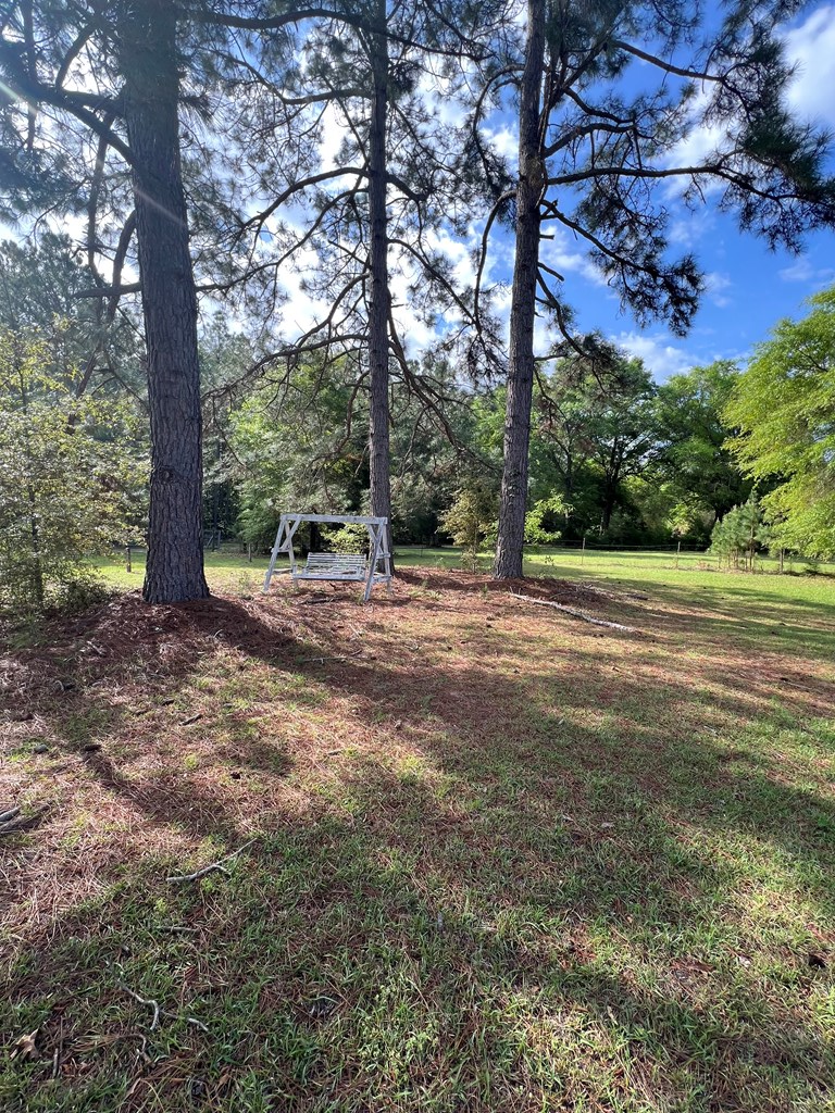 415 Cork Ferry Rd, Cordele, GA 31015 - #2