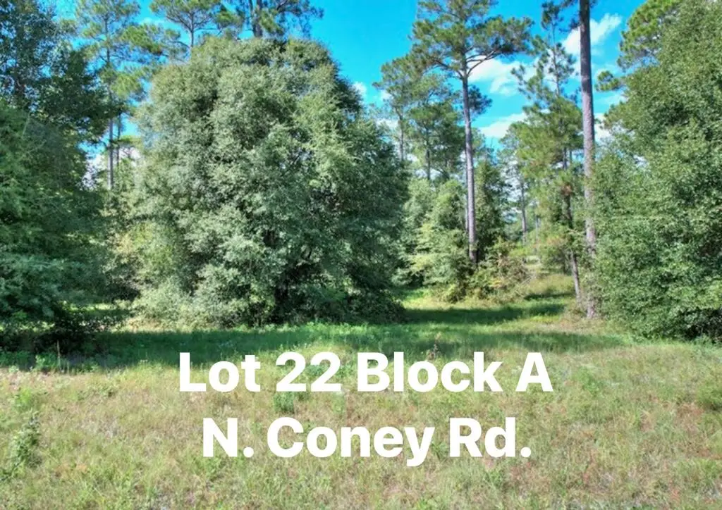TBD N Coney Rd. Lot 22 Block A, Cordele, GA 31015 - #1