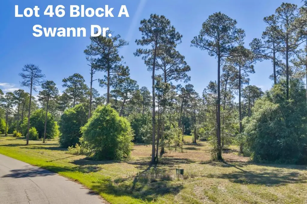 TBD Swann Dr. Lot 46 Block A, Cordele, GA 31015 - #1