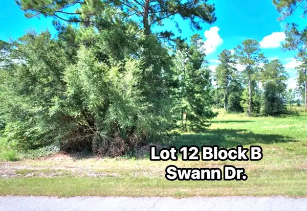 TBD Swann Dr. Lot 12 Block B, Cordele, GA 31015
