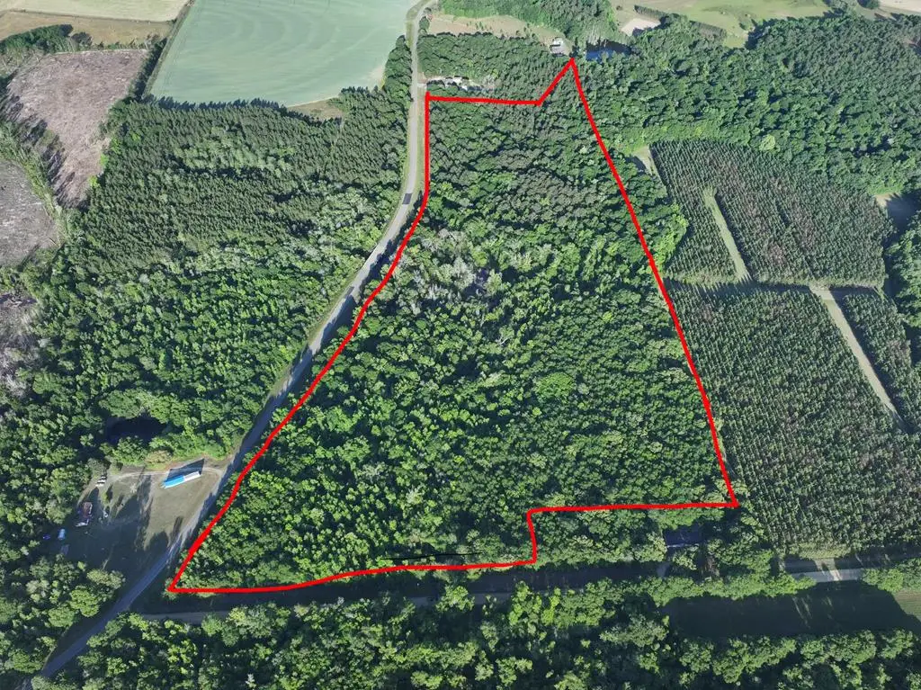 N/A Amboy Rd, Arabi, GA 31712 - #1