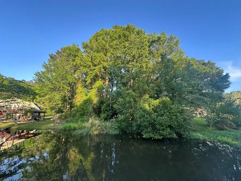 TBD Lakeshore Way, Cordele, GA 31015 - #1