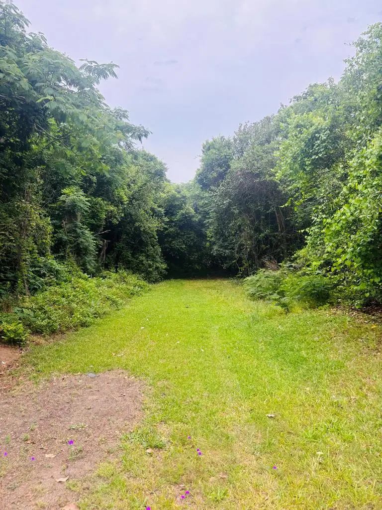 0 Hills Ally, Rochelle, GA 31079 - #1
