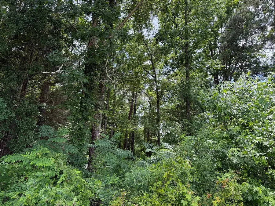 TBD Lewis Mill Lake Rd., Vienna, GA 31092 - #2