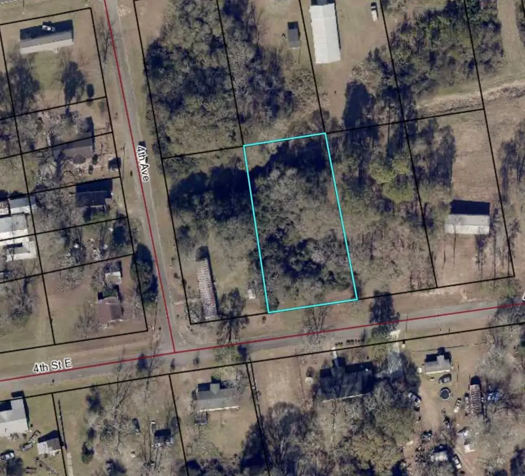 TBD E 4th Street, Arabi, GA 31712 - #1