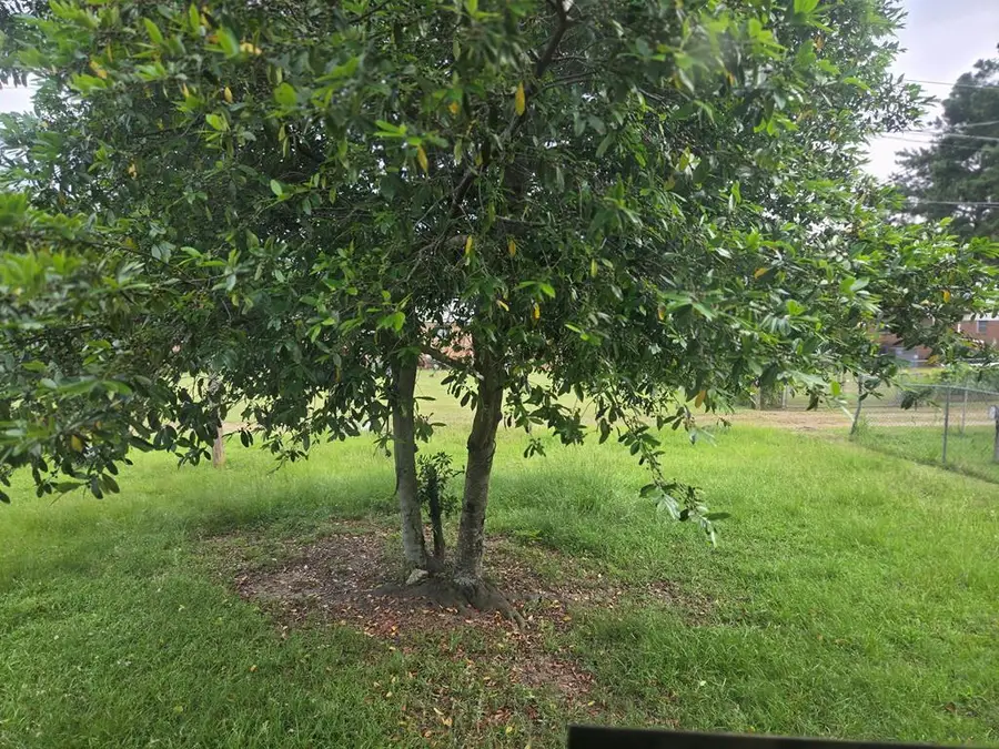 305 W 27th Avenue, Cordele, GA 31015 - #2