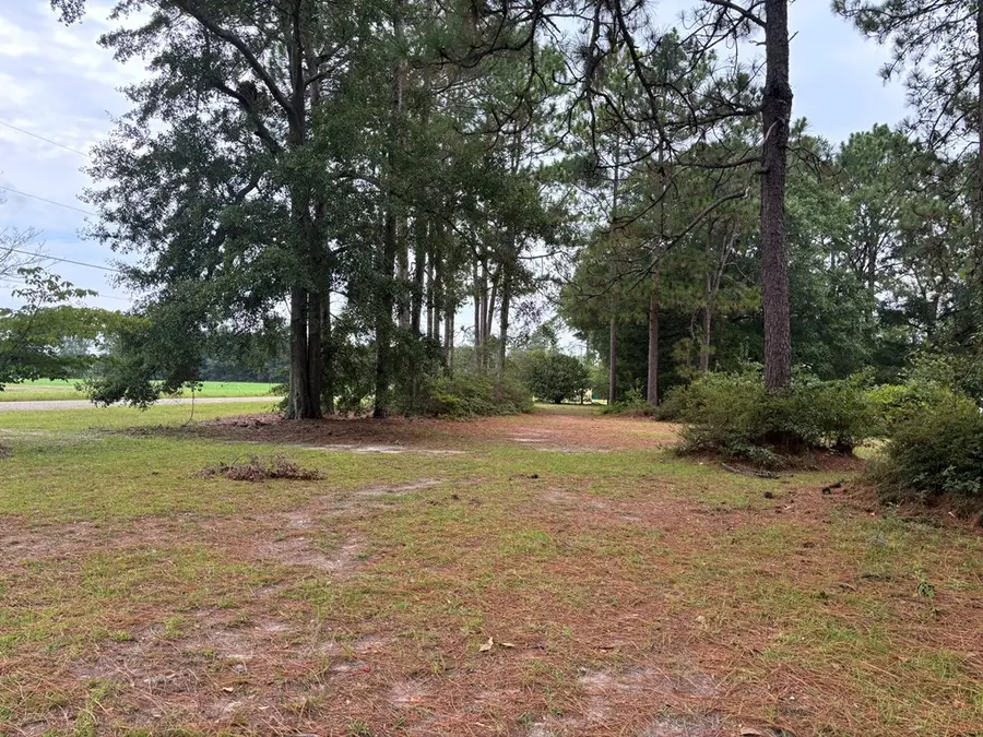 193 West Rd, Cordele, GA 31015 - #3