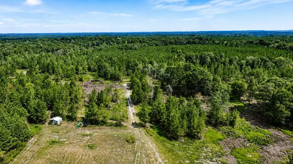 86.73 AC Tremont Rd, Cordele, GA 31015 - #1