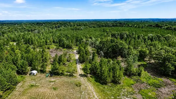 86.73 AC Tremont Rd, Cordele, GA 31015