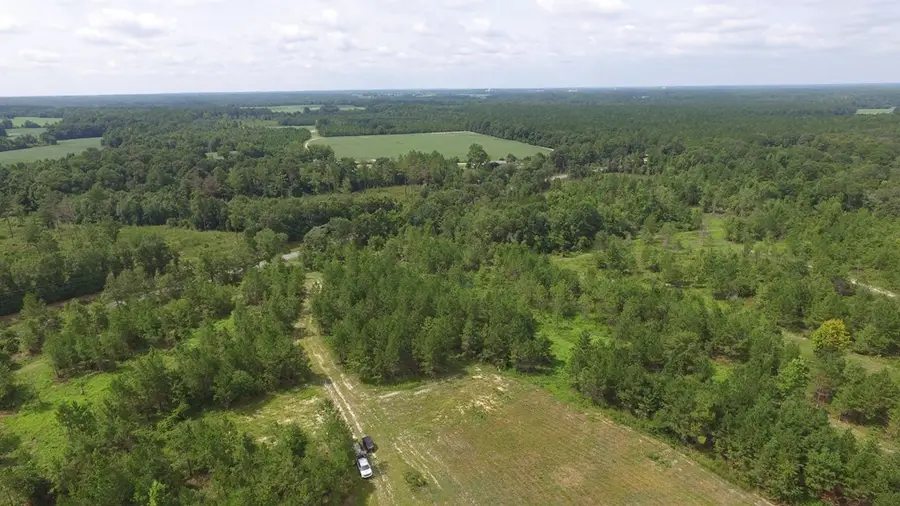 86.73 AC Tremont Rd, Cordele, GA 31015 - #2