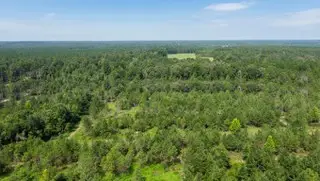 86.73 AC Tremont Rd, Cordele, GA 31015 - #3