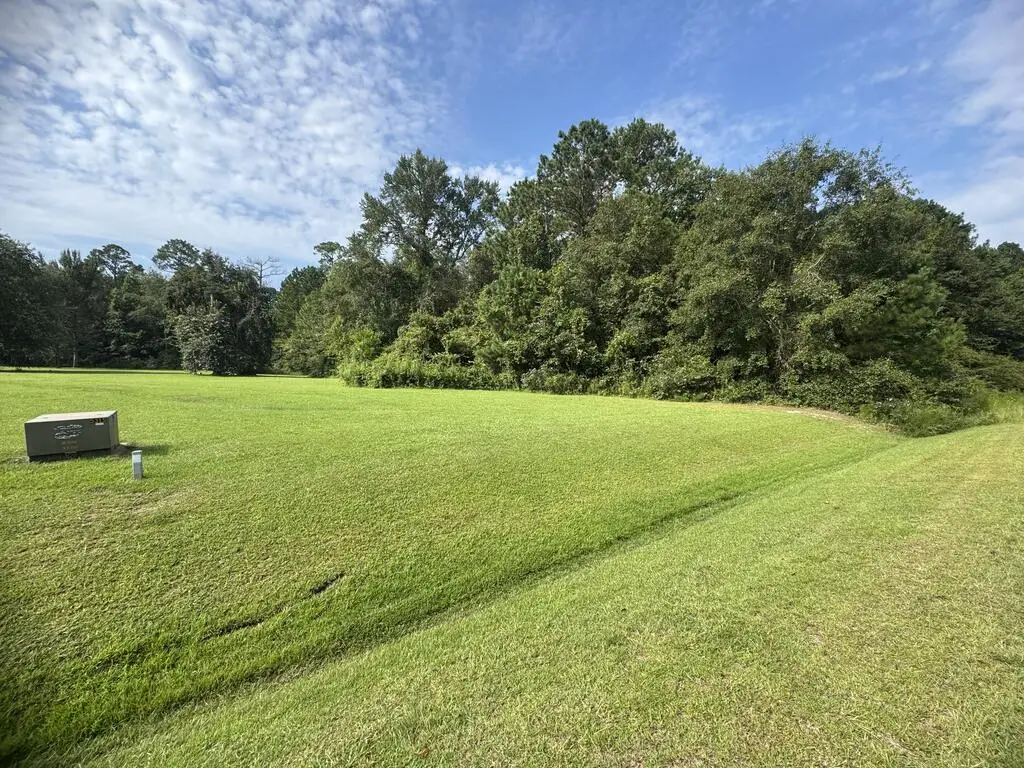 Lot#6 Saddlecreek Subdivision, Cordele, GA 31015 - #1