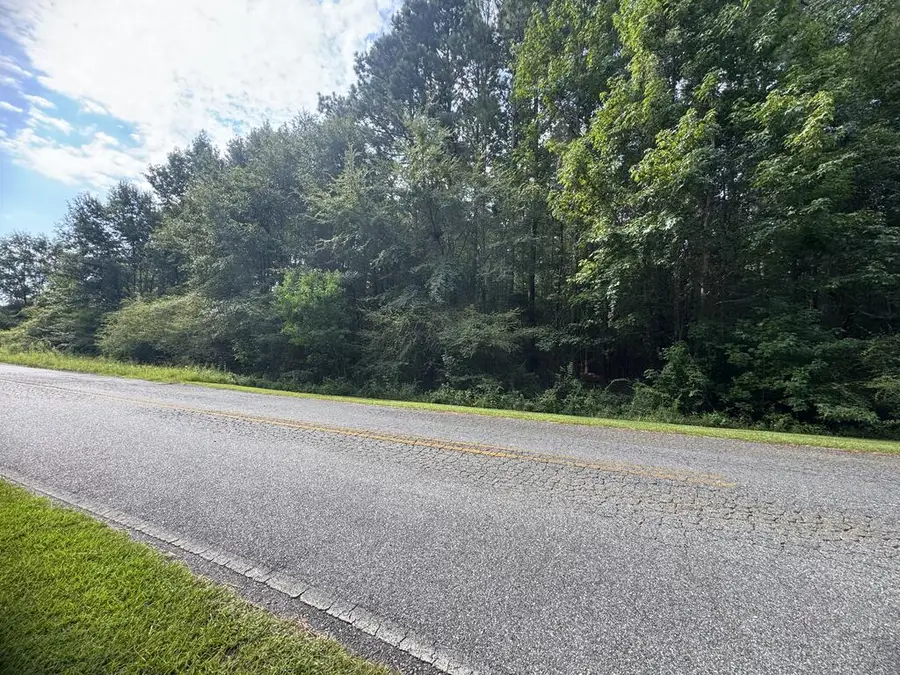 Lot#6 Saddlecreek Subdivision, Cordele, GA 31015 - #3