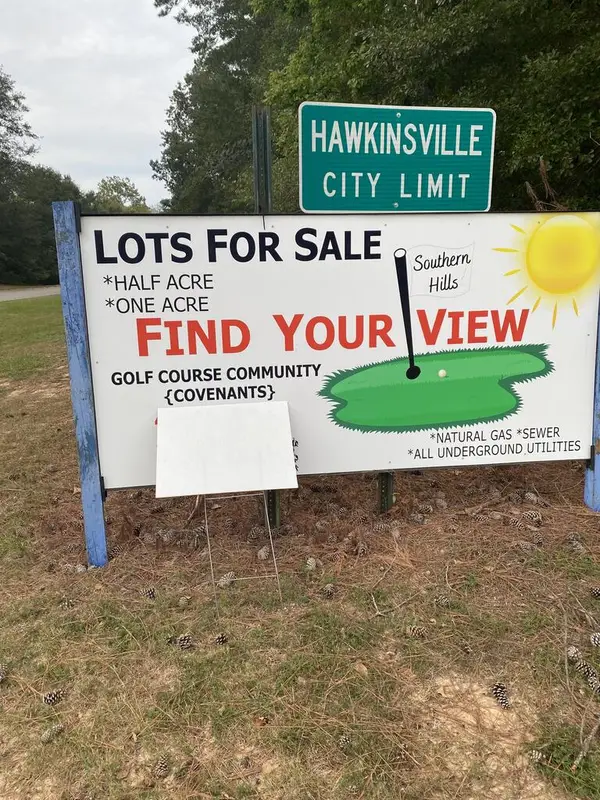 131 River Ridge, Hawkinsville, GA 31036