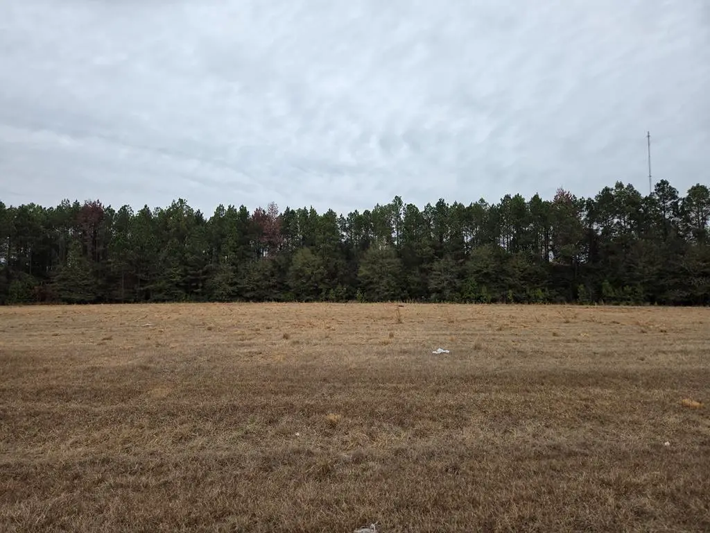 118 Joe Wright Drive/new Harvest Road Lot B,, Cordele, GA 31015 - #1