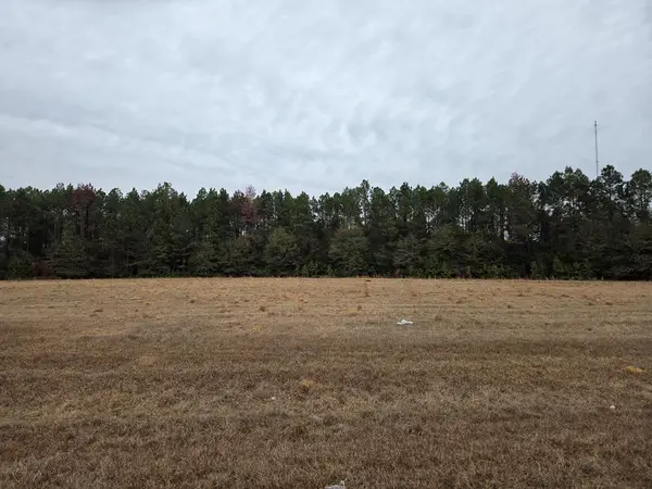 118 Joe Wright Drive/new Harvest Road Lot B,, Cordele, GA 31015