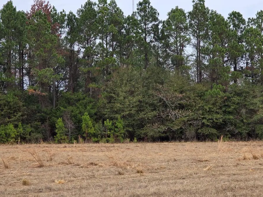 118 Joe Wright Drive/new Harvest Road Lot B,, Cordele, GA 31015 - #2