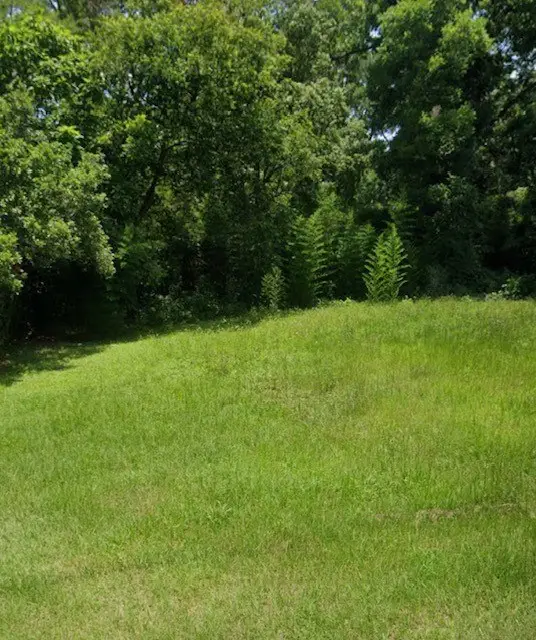 406 E Peachtree, Douglas, GA 31533 - #2