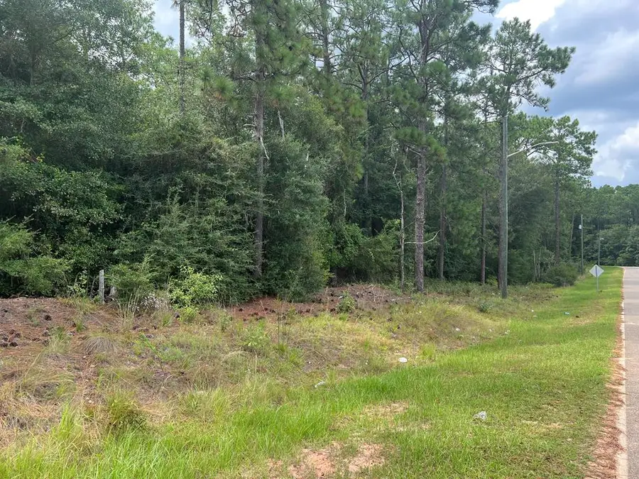 00 Rocky Pond Road, Douglas, GA 31533 - Image #2