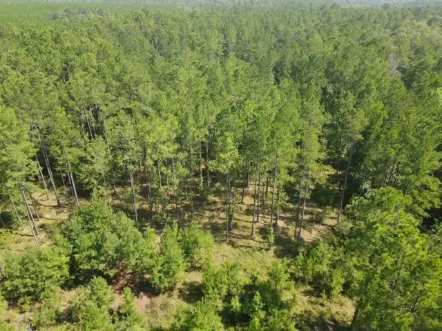 0 County Line Road, Mount Vernon, GA 30445 - Image #1