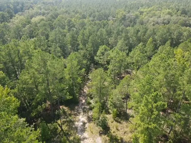 0 County Line Road, Mount Vernon, GA 30445 - Image #2