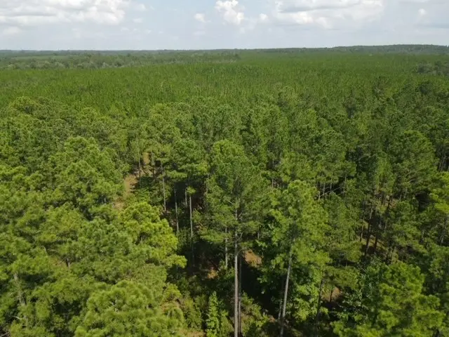 0 County Line Road, Mount Vernon, GA 30445 - Image #3