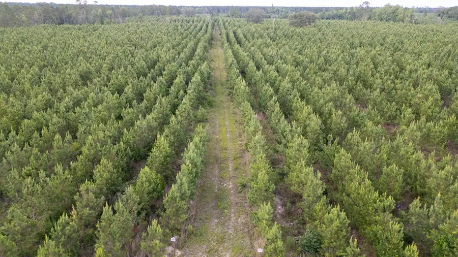 0 Off Mills Rd, Baxley, GA 31513 - Image #2