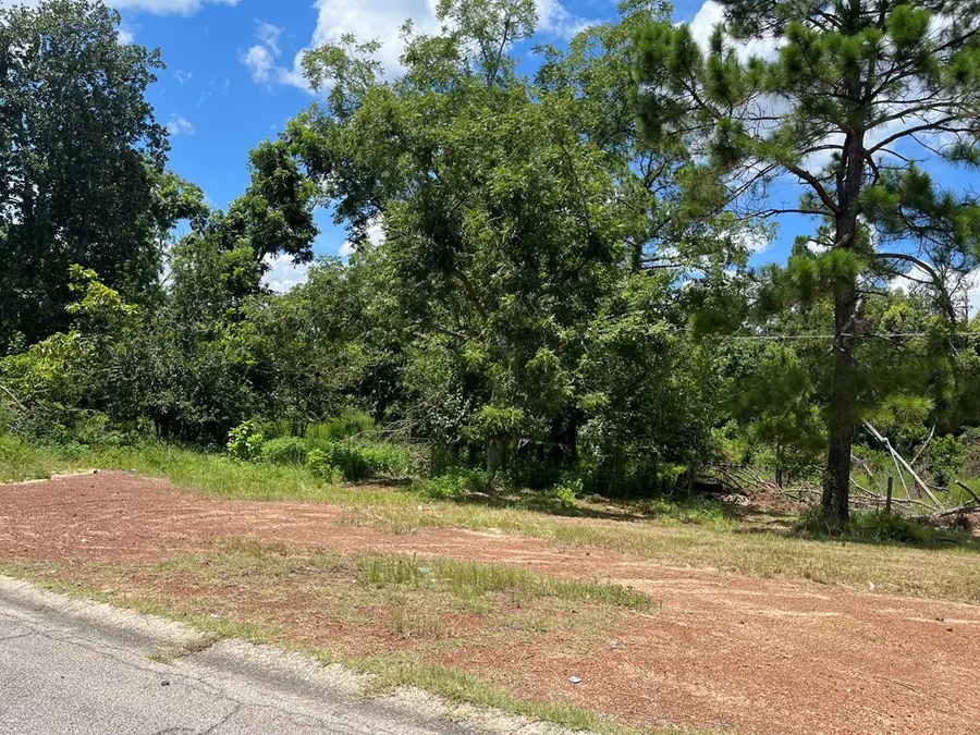 0 6th Street, Alma, GA 31510 - Image #2