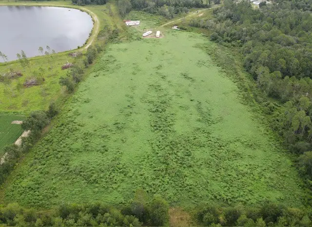 323 Eastman Paulk Road, Ambrose, GA 31512 - Image #3