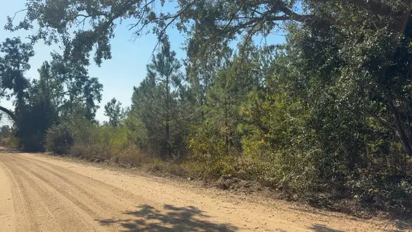 00 Mclean St, Lumber City, GA 31549