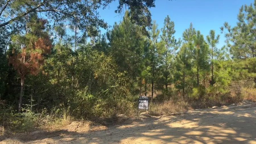 00 Mclean St, Lumber City, GA 31549 - Image #3