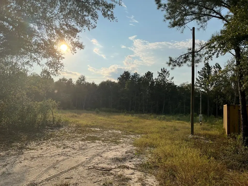 714 Riverbank Rd, Reidsville, GA 30427 - Image #1