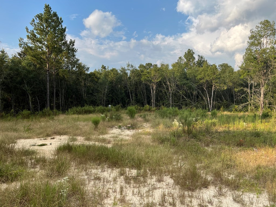 714 Riverbank Rd, Reidsville, GA 30427 - Image #3