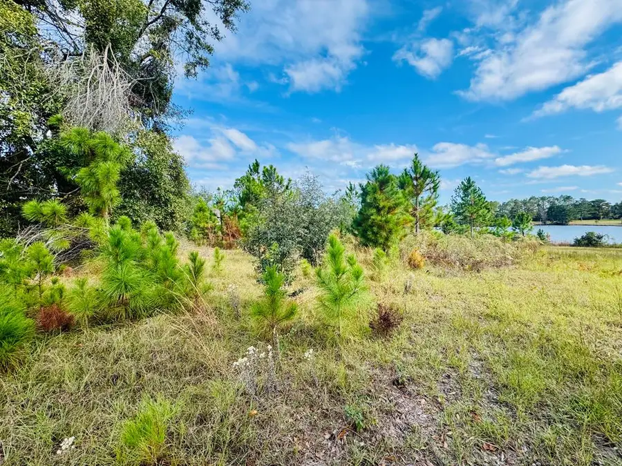 Lot #90 Mallard Pointe Dr., Douglas, GA 31535 - Image #2