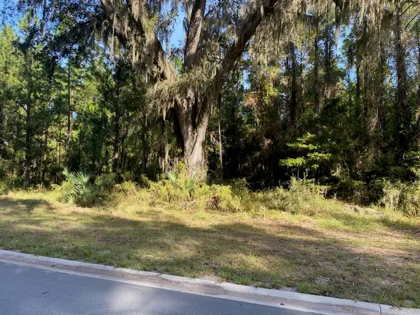 Lot 141 Beacon Pointe Pkwy, Waverly, GA 31565