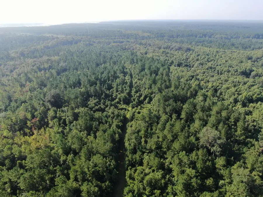 00 Hwy #32/hwy #99 Tract 2, Brunswick, GA 31523 - Image #3