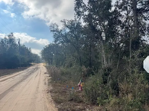 00 Lake Park St Tract 1, Douglas, GA 31533