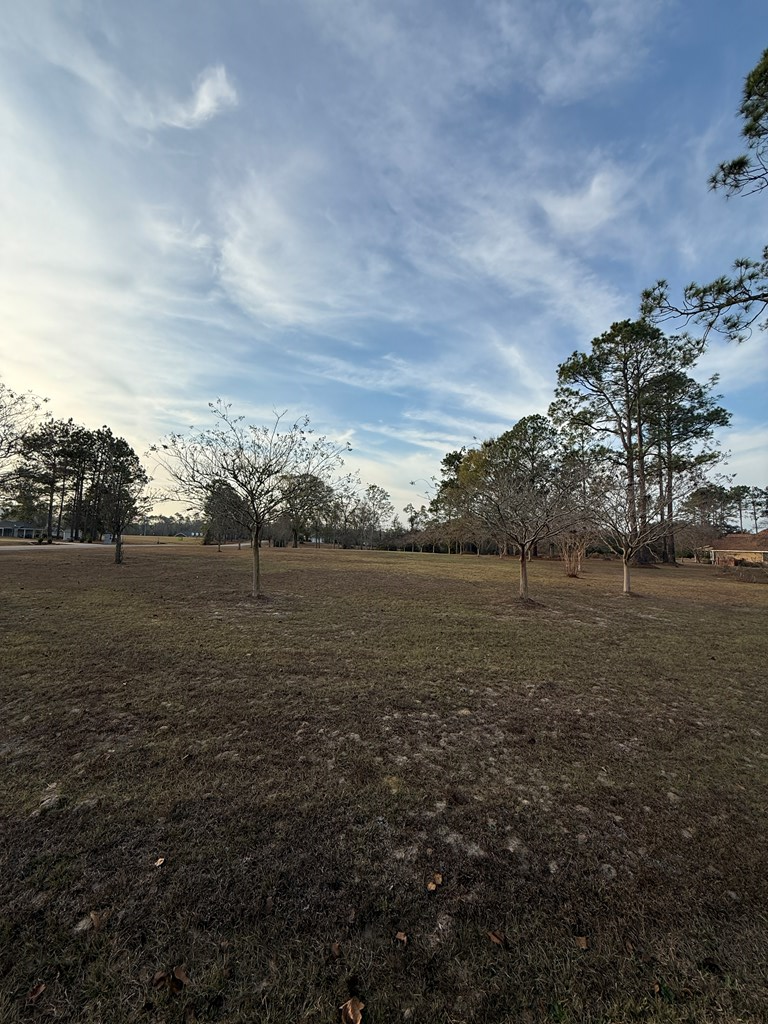 Lot 100 Mallard Pointe Dr, Douglas, GA 31533 - Image #2