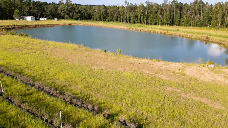 01 Penny Morris Rd, Baxley, GA 31513 - #3