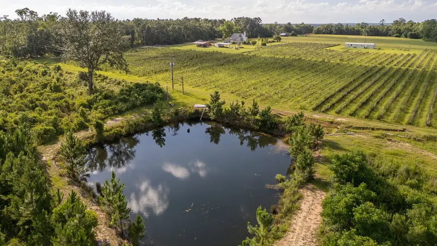 02 Penny Morris Rd, Baxley, GA 31513 - #3