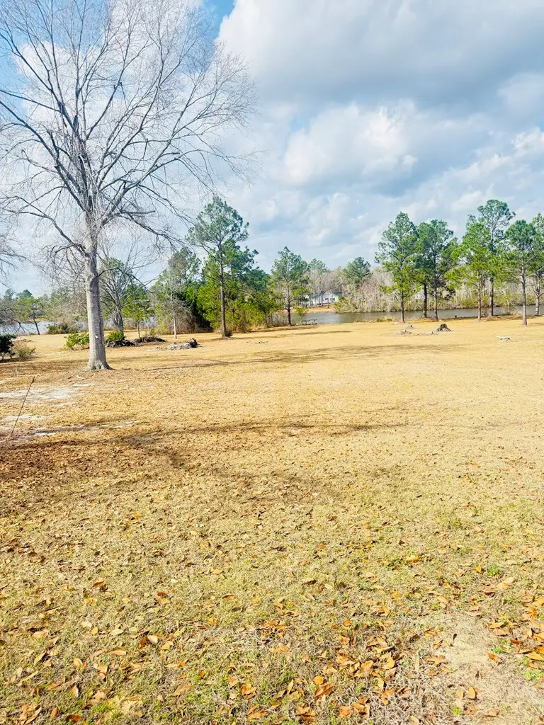 355 Fern Ridge Rd, Douglas, GA 31533 - #3