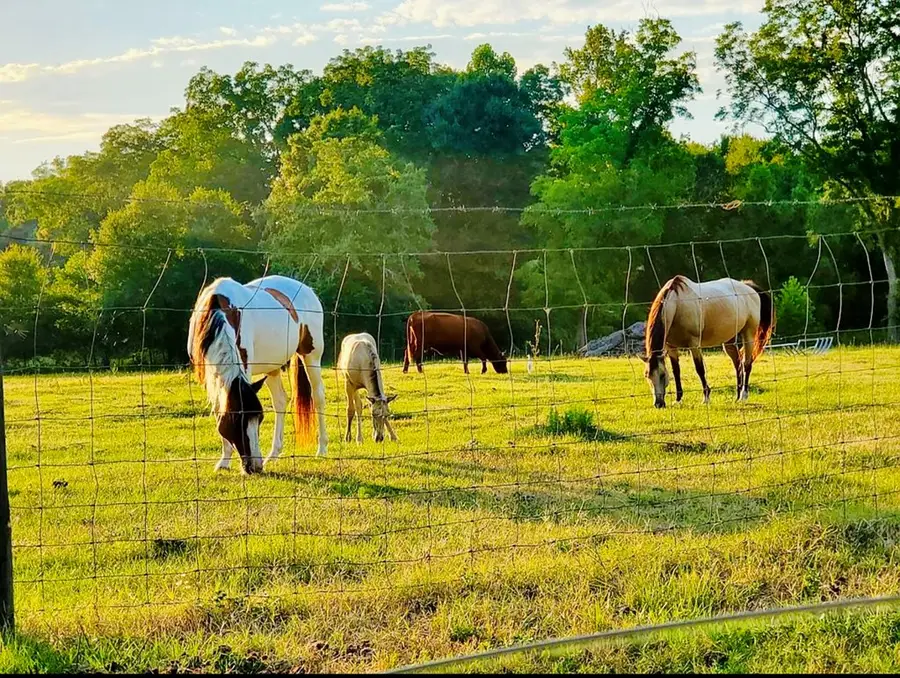 3174 Fitzgerald Hwy, Broxton, GA 31519 - #2