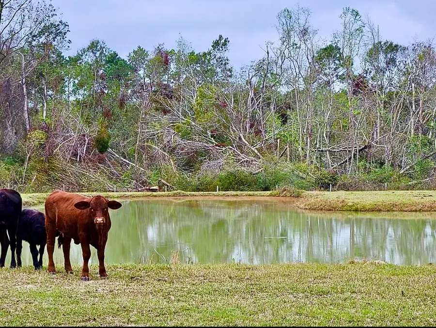 3174 Fitzgerald Hwy, Broxton, GA 31519 - #3