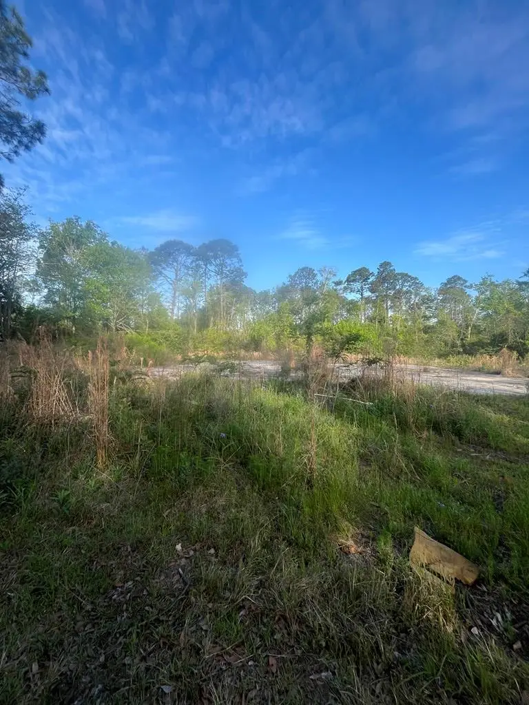 1500 Sunset Drive, Douglas, GA 31533 - #2